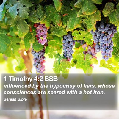 1 Timothy 4:2 BSB Bible Verse Image