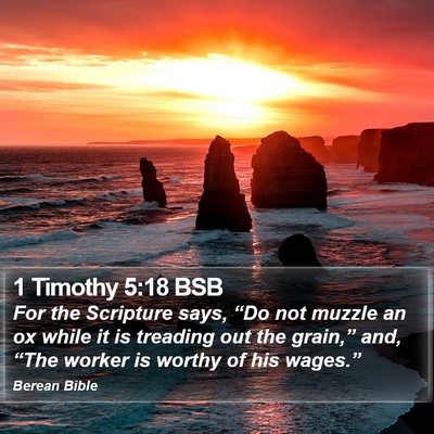 1 Timothy 5:18 BSB Bible Verse Image
