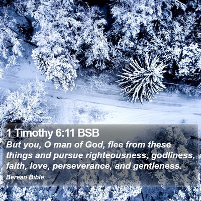 1 Timothy 6:11 BSB Bible Verse Image