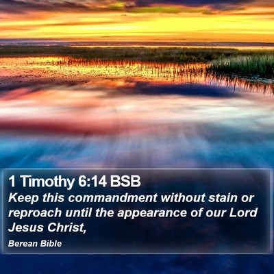 1 Timothy 6:14 BSB Bible Verse Image