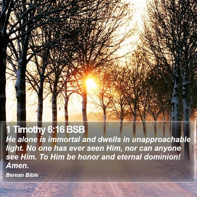 1 Timothy 6:16 BSB Bible Verse Image