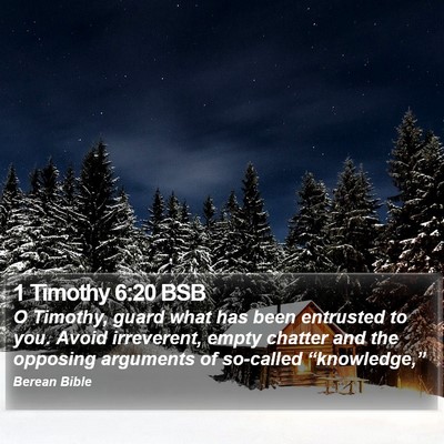 1 Timothy 6:20 BSB Bible Verse Image