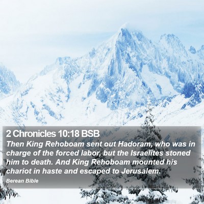 2 Chronicles 10:18 BSB Bible Verse Image