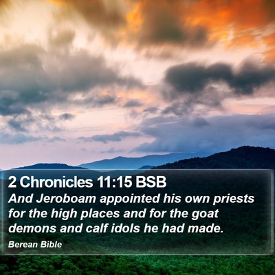 2 Chronicles 11:15 BSB Bible Verse Image