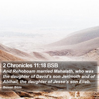 2 Chronicles 11:18 BSB Bible Verse Image