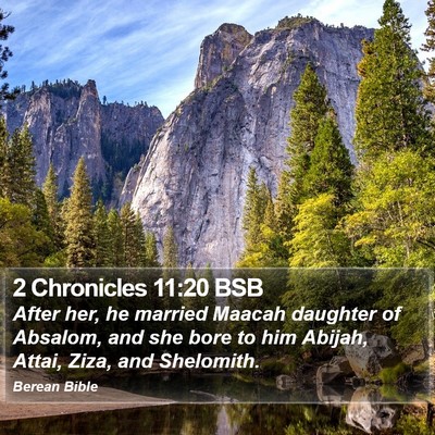 2 Chronicles 11:20 BSB Bible Verse Image