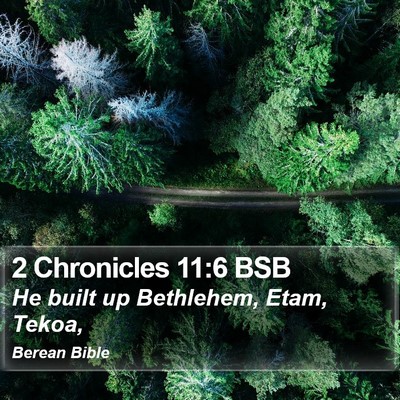 2 Chronicles 11:6 BSB Bible Verse Image