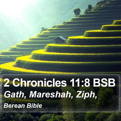 2 Chronicles 11:8 BSB Bible Verse Image