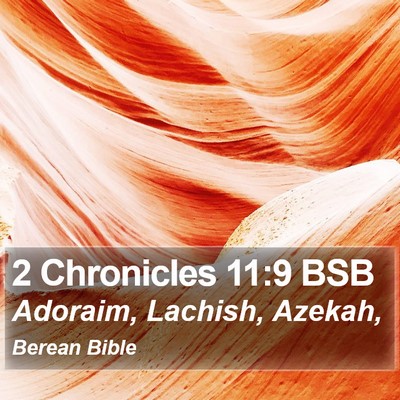 2 Chronicles 11:9 BSB Bible Verse Image