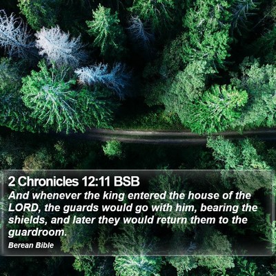 2 Chronicles 12:11 BSB Bible Verse Image