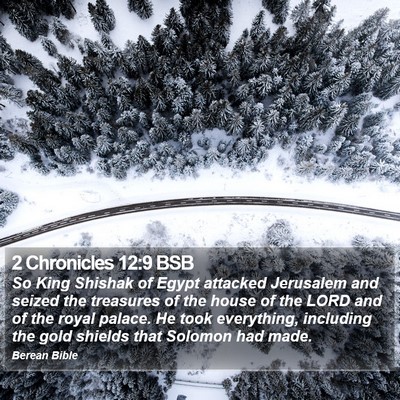 2 Chronicles 12:9 BSB Bible Verse Image