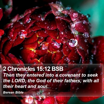 2 Chronicles 15:12 BSB Bible Verse Image