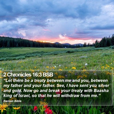 2 Chronicles 16:3 BSB Bible Verse Image