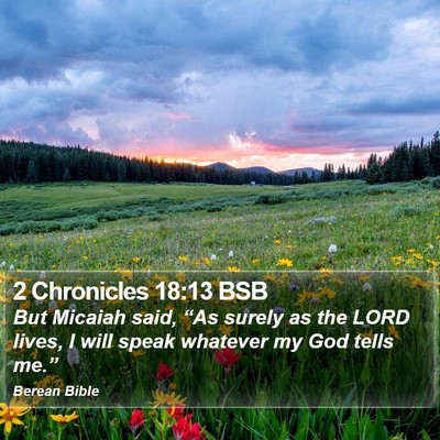 2 Chronicles 18:13 BSB Bible Verse Image