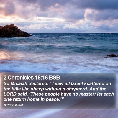 2 Chronicles 18:16 BSB Bible Verse Image