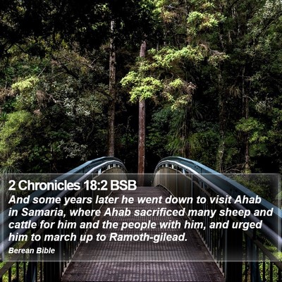 2 Chronicles 18:2 BSB Bible Verse Image