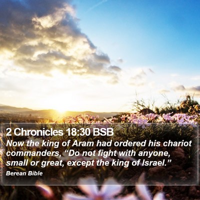 2 Chronicles 18:30 BSB Bible Verse Image
