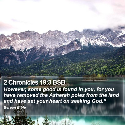 2 Chronicles 19:3 BSB Bible Verse Image