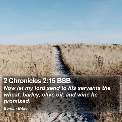 2 Chronicles 2:15 BSB Bible Verse Image