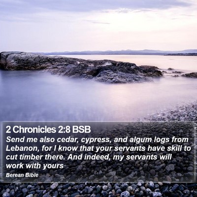 2 Chronicles 2:8 BSB Bible Verse Image