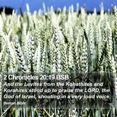 2 Chronicles 20:19 BSB Bible Verse Image