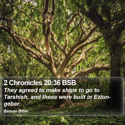 2 Chronicles 20:36 BSB Bible Verse Image