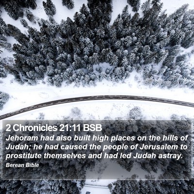 2 Chronicles 21:11 BSB Bible Verse Image