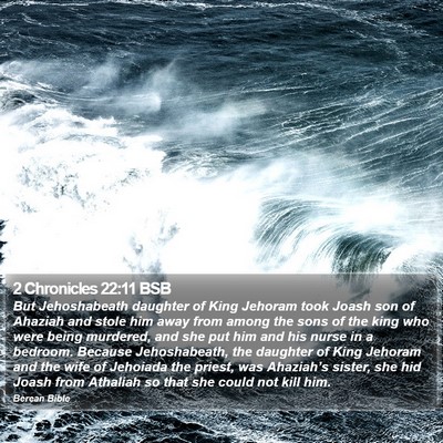 2 Chronicles 22:11 BSB Bible Verse Image