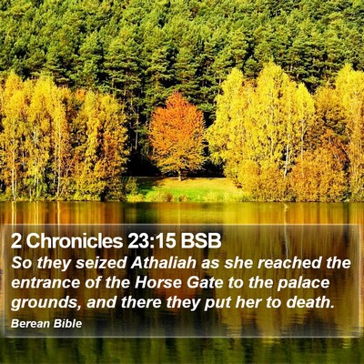 2 Chronicles 23:15 BSB Bible Verse Image