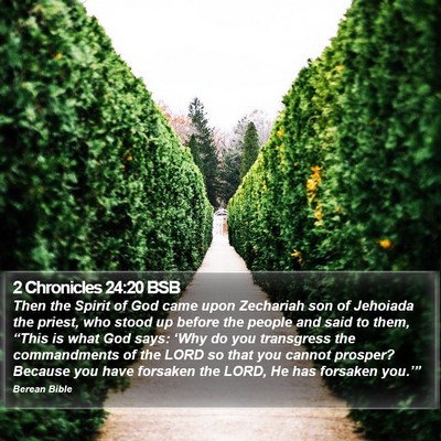 2 Chronicles 24:20 BSB Bible Verse Image