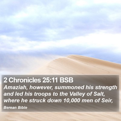 2 Chronicles 25:11 BSB Bible Verse Image