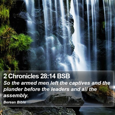 2 Chronicles 28:14 BSB Bible Verse Image