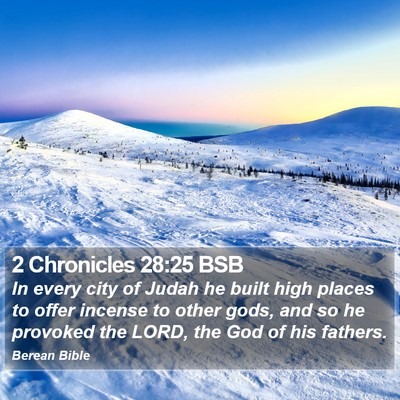 2 Chronicles 28:25 BSB Bible Verse Image