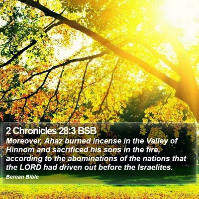 2 Chronicles 28:3 BSB Bible Verse Image