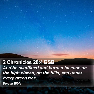 2 Chronicles 28:4 BSB Bible Verse Image