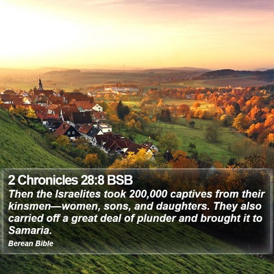 2 Chronicles 28:8 BSB Bible Verse Image