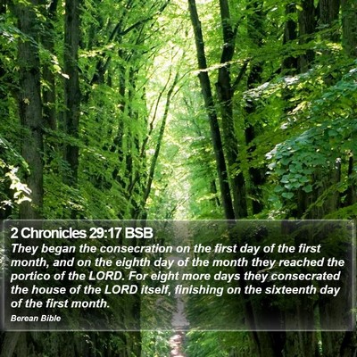 2 Chronicles 29:17 BSB Bible Verse Image
