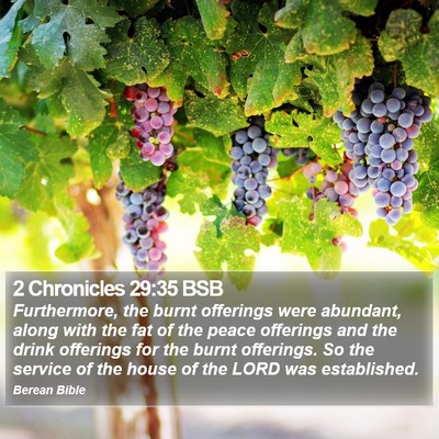 2 Chronicles 29:35 BSB Bible Verse Image