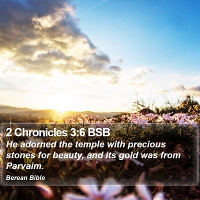 2 Chronicles 3:6 BSB Bible Verse Image