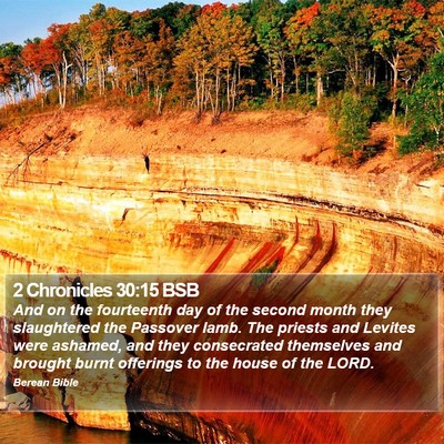 2 Chronicles 30:15 BSB Bible Verse Image
