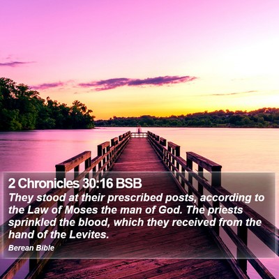 2 Chronicles 30:16 BSB Bible Verse Image