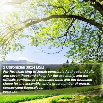2 Chronicles 30:24 BSB Bible Verse Image