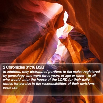 2 Chronicles 31:16 BSB Bible Verse Image