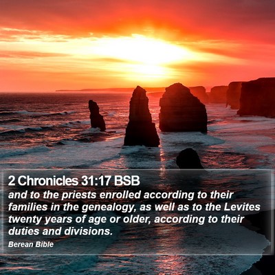 2 Chronicles 31:17 BSB Bible Verse Image