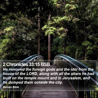 2 Chronicles 33:15 BSB Bible Verse Image