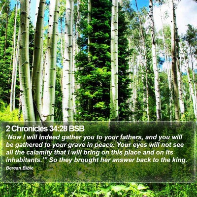 2 Chronicles 34:28 BSB Bible Verse Image