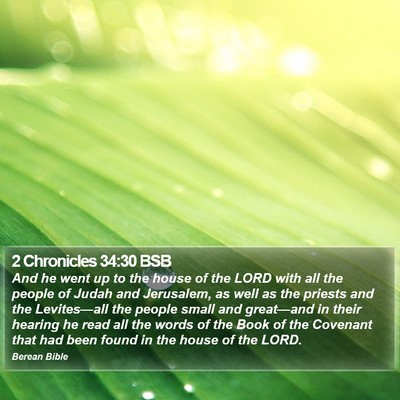 2 Chronicles 34:30 BSB Bible Verse Image