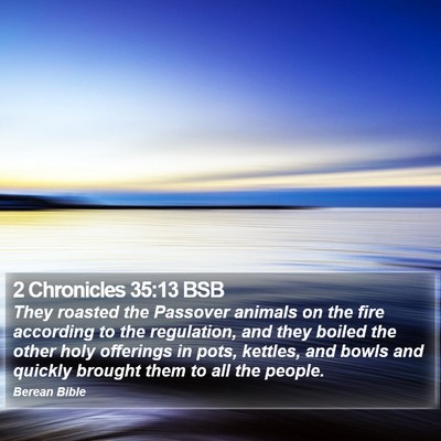 2 Chronicles 35:13 BSB Bible Verse Image