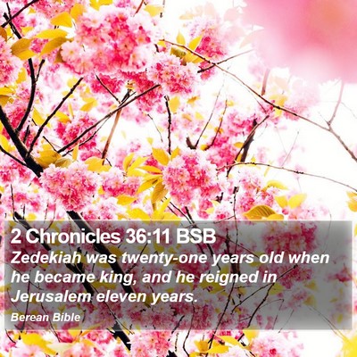 2 Chronicles 36:11 BSB Bible Verse Image