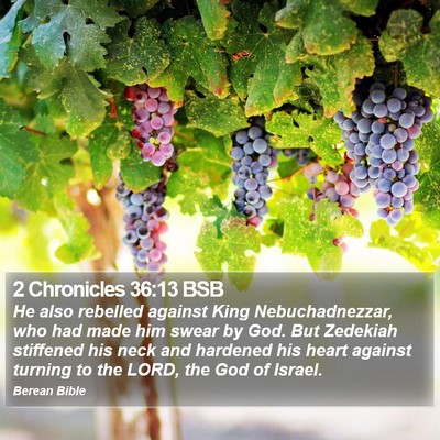2 Chronicles 36:13 BSB Bible Verse Image